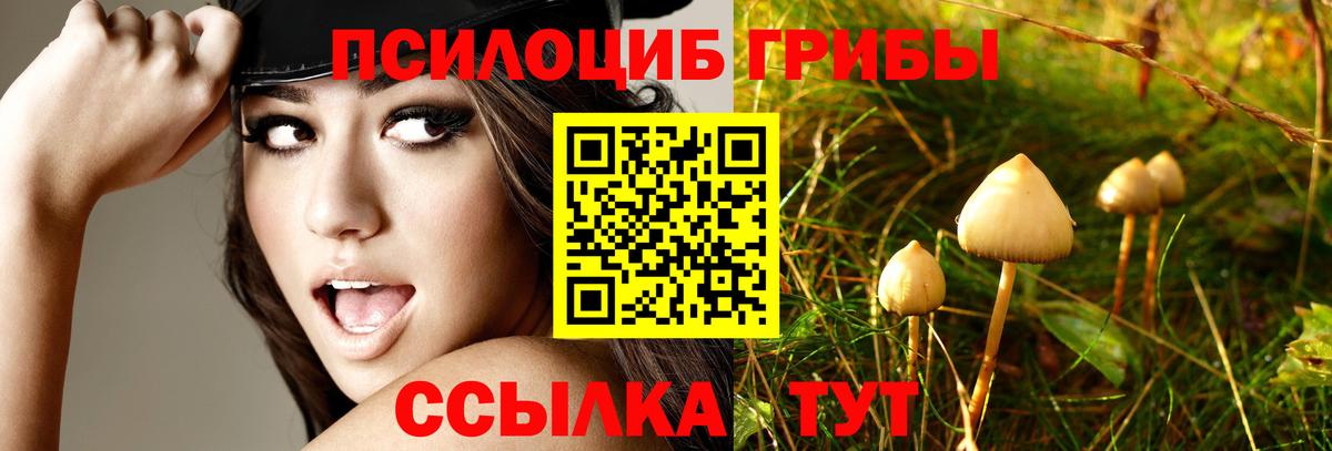 Псилоцибиновые грибы мицелий Бирск